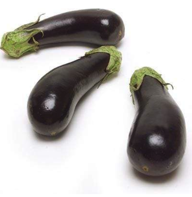 Eggplant